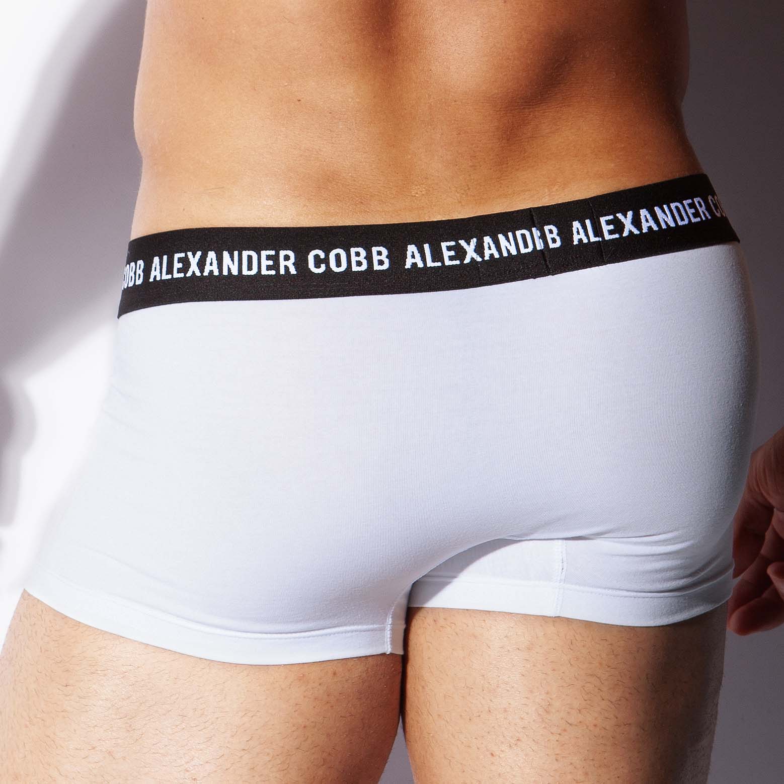 Boxer Bandama Alexander COBB 8CBS21