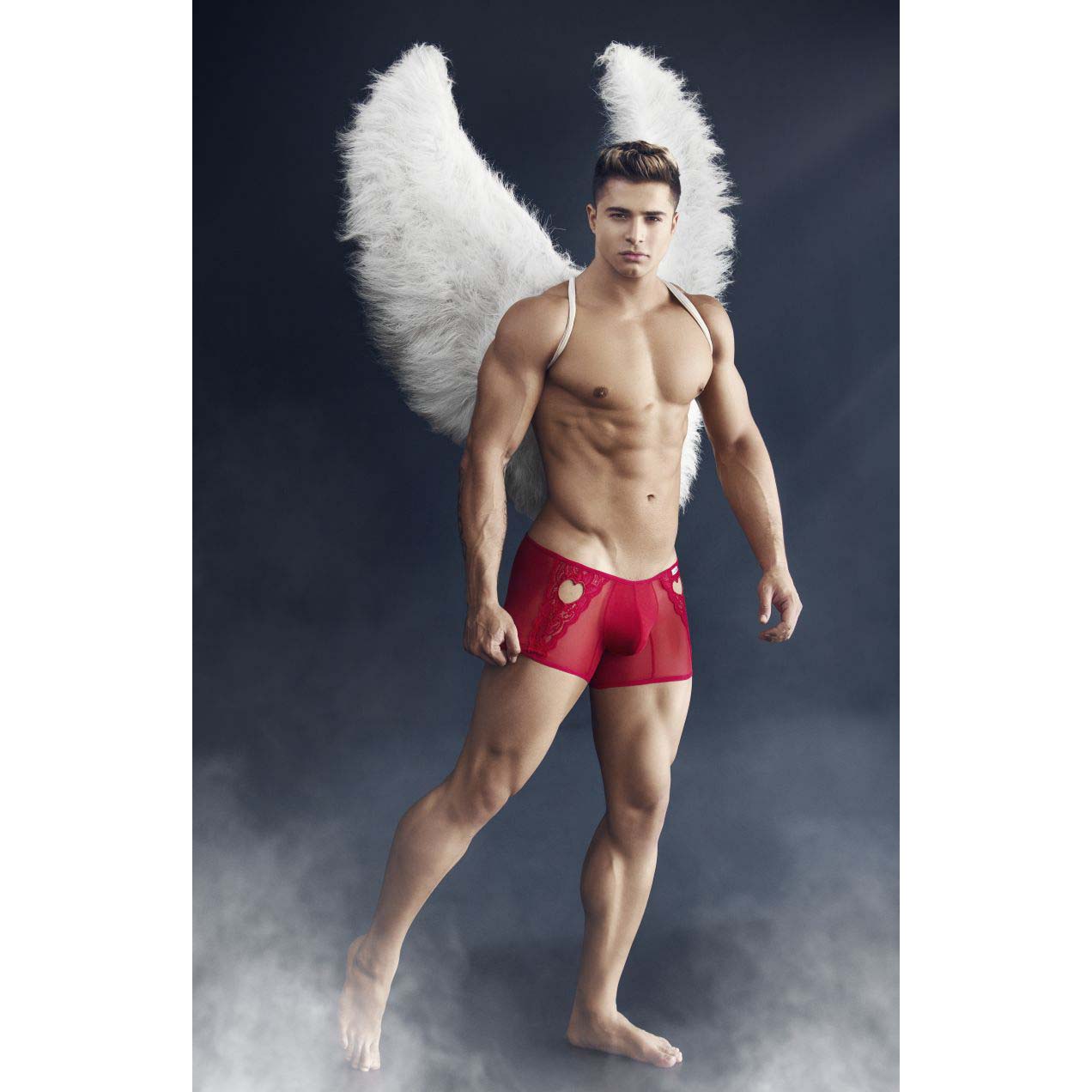 Boxer Candyman 99309