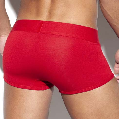 Boxer ES Collection Flag UN375