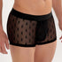 HOM Boxer Dark