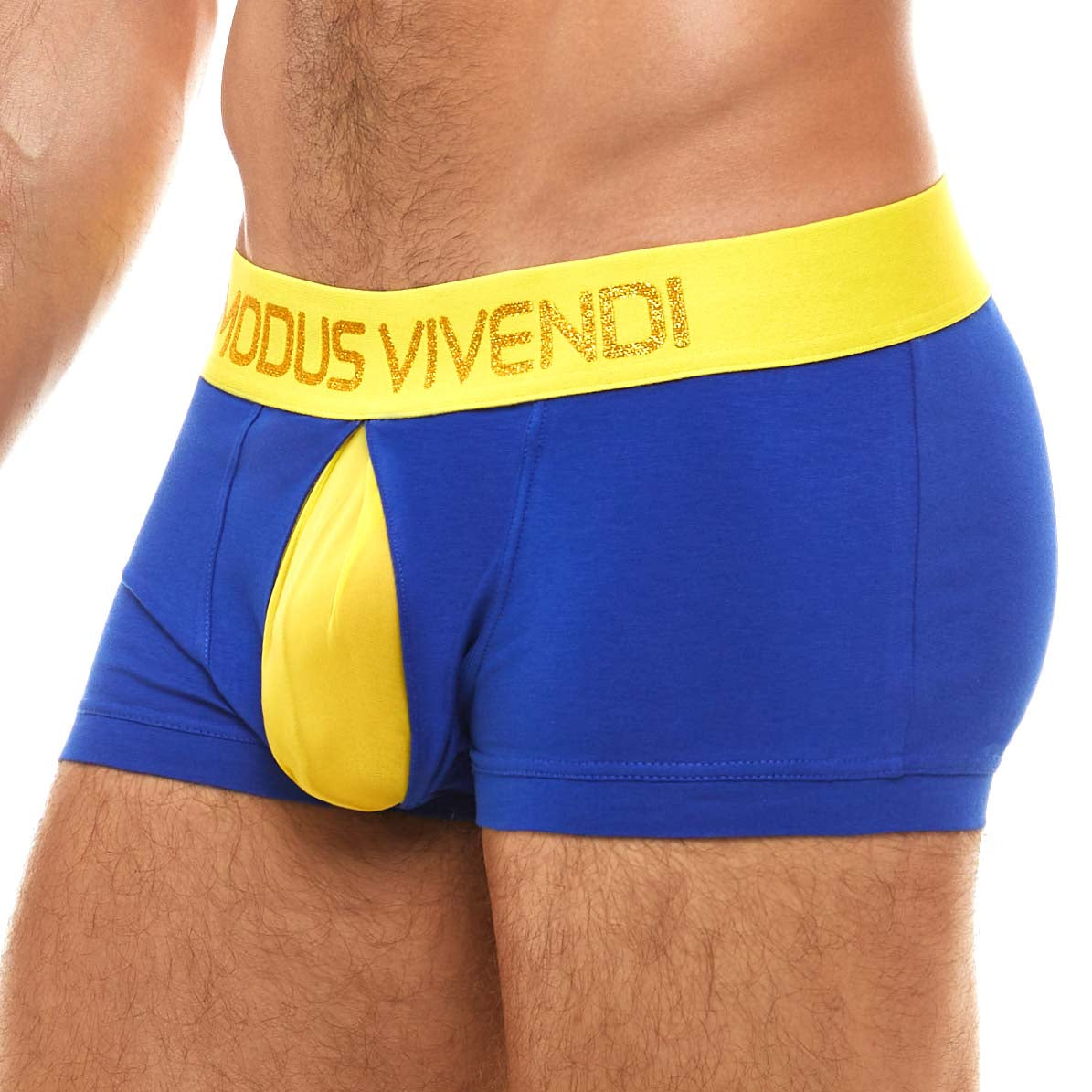 Boxer Modus Vivendi Secret Pleat 03121