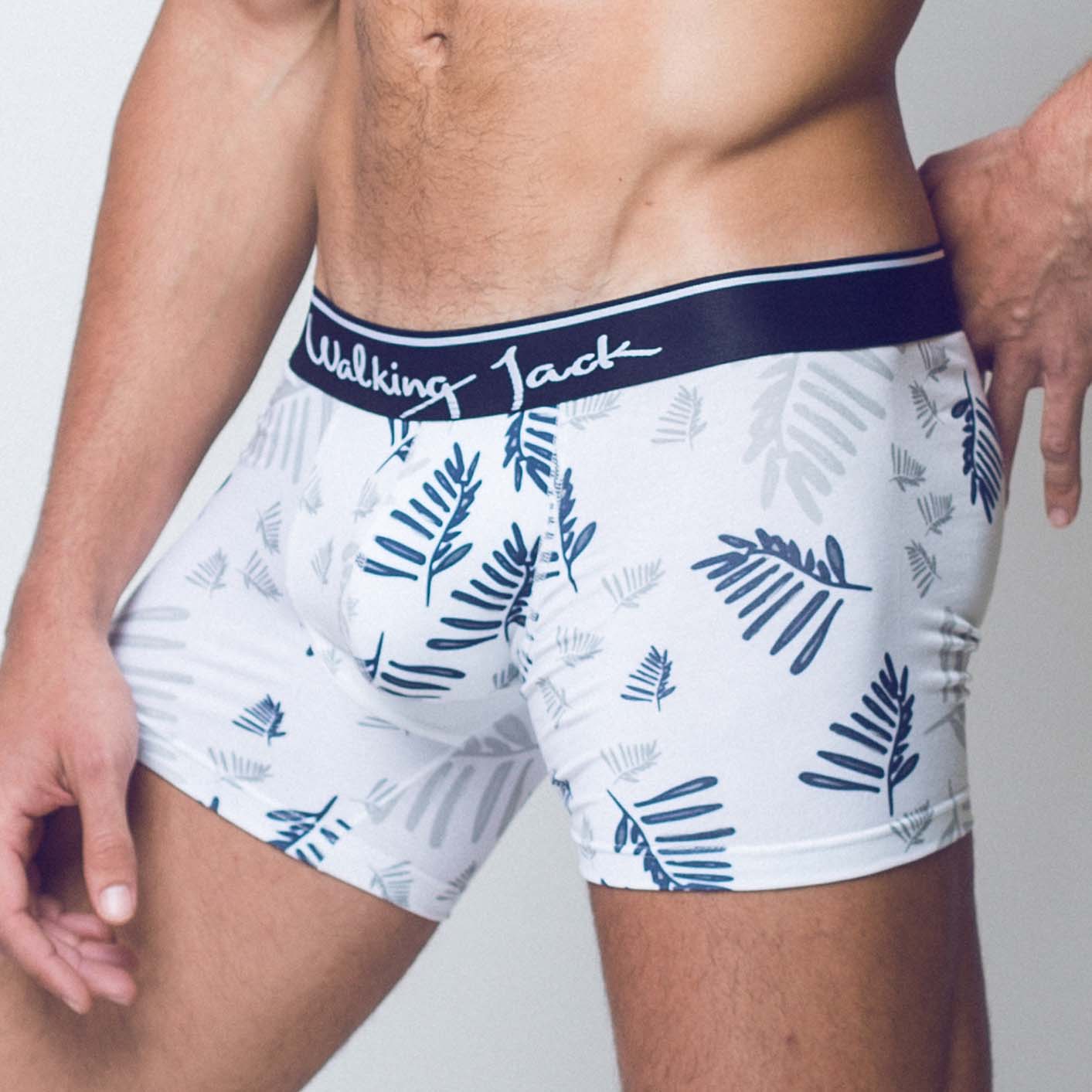 Boxer Fern Walking Jack