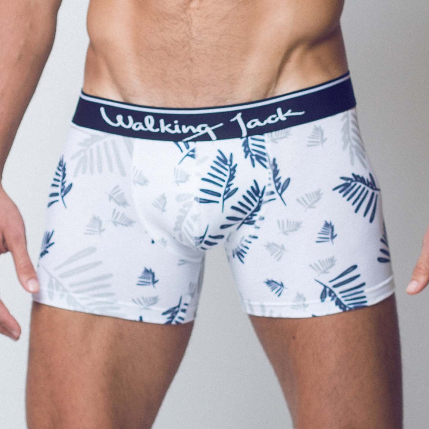 Boxer Fern Walking Jack