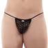 String Eros Veneziani 7532