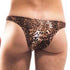 Tanga Wojoer Brauner Leo SP3B10