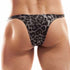 Tanga Wojoer Brauner Leo S009-B015-OM