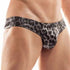 Tanga Wojoer Brauner Leo S009P701