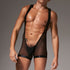 Body Wild GAYPLAY