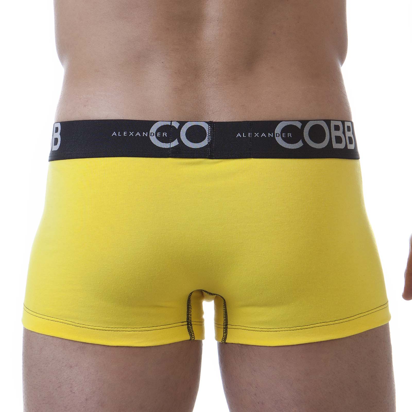 Boxer Lemonade Alexander COBB 4CBS12