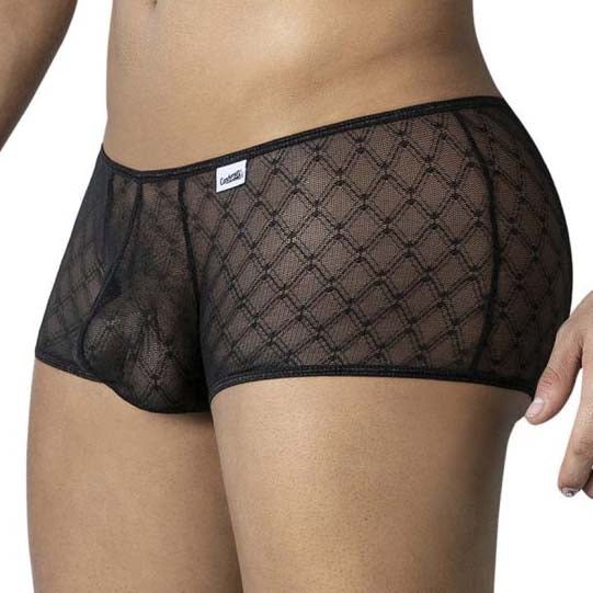 Boxer Candyman Geometric Mesh 99896