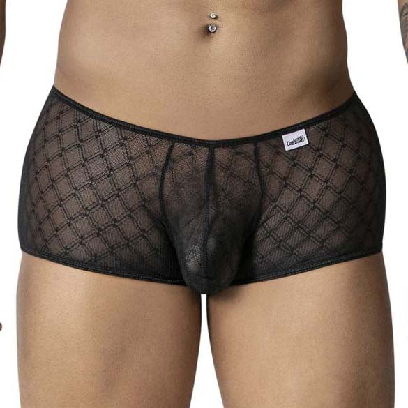 Boxer Candyman Geometric Mesh 99896