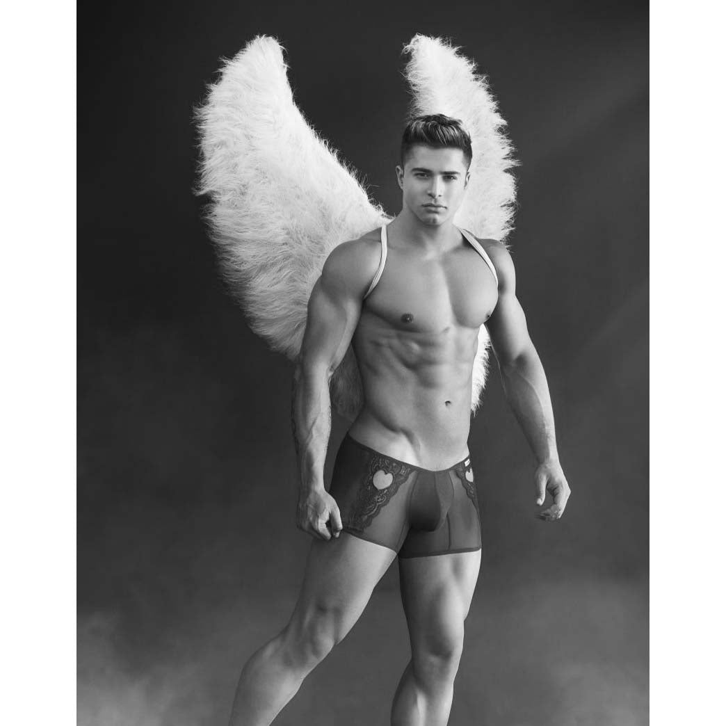 Boxer Candyman 99309