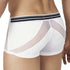 Boxer Clever Private Latin 0265