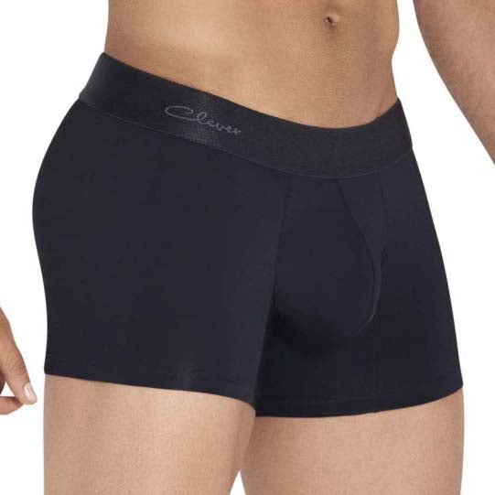 Boxer Clever Objectives 0413