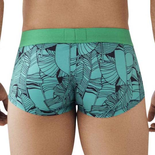 Boxer Clever Aspirations 0789