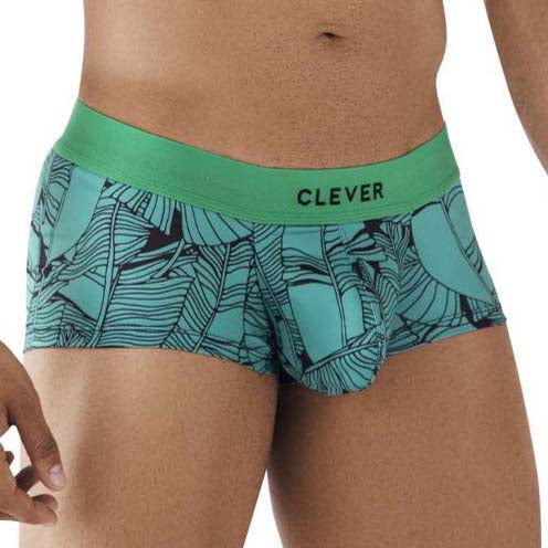 Boxer Clever Aspirations 0789