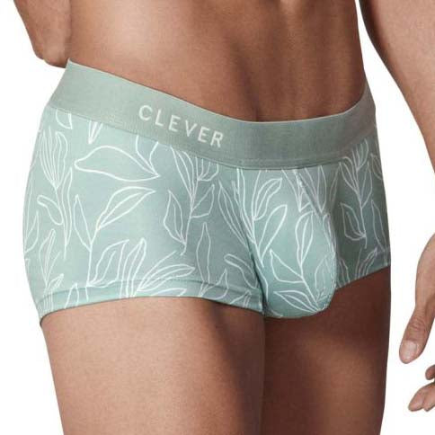 Boxer Clever Creation 1320