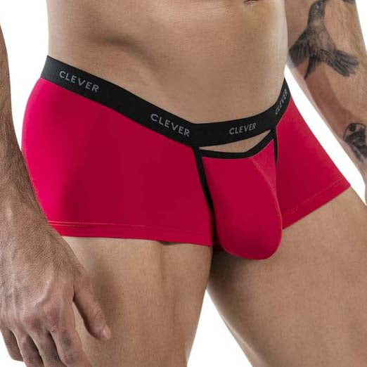 Boxer Clever Tokio 1866