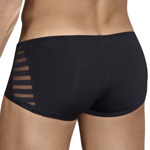 Boxer Clever Romani Latin 2438