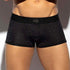 Boxer ES Collection Leopard UN624