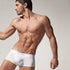 Boxer ES Collection UN116