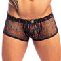 Boxer L'Homme invisible Revival MY39VIV