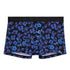 Boxer HOM Will 402642