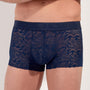 HOM Boxer Free cut lace