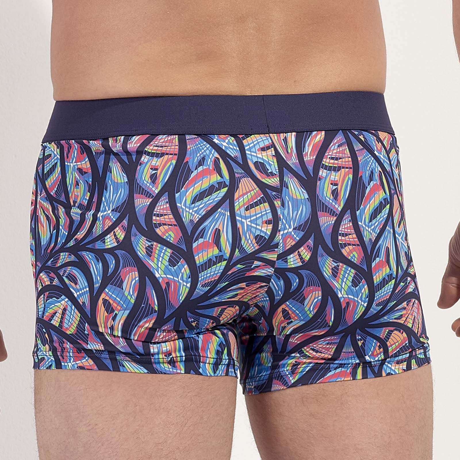 HOM Boxer Indian Creek