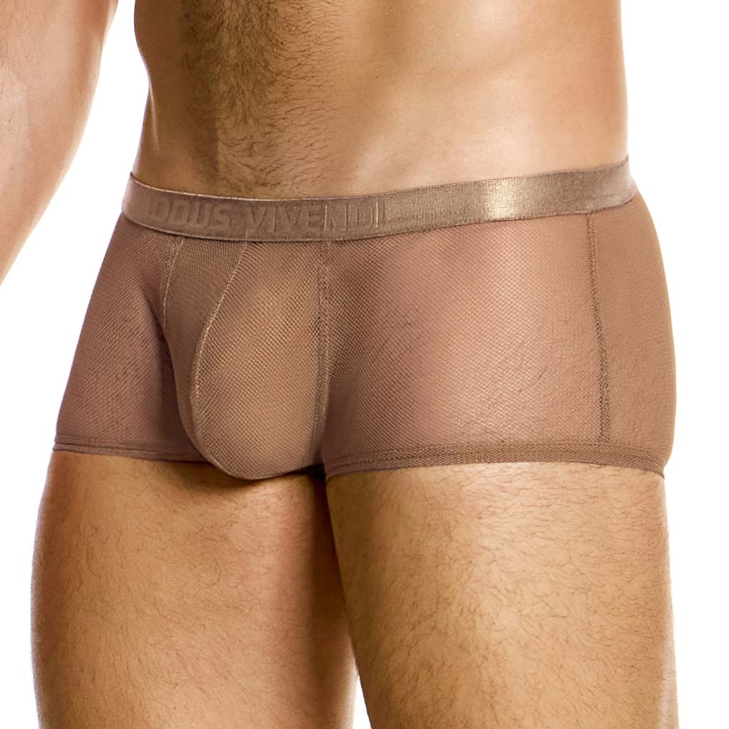 Boxer Modus Vivendi Mesh Through 05421