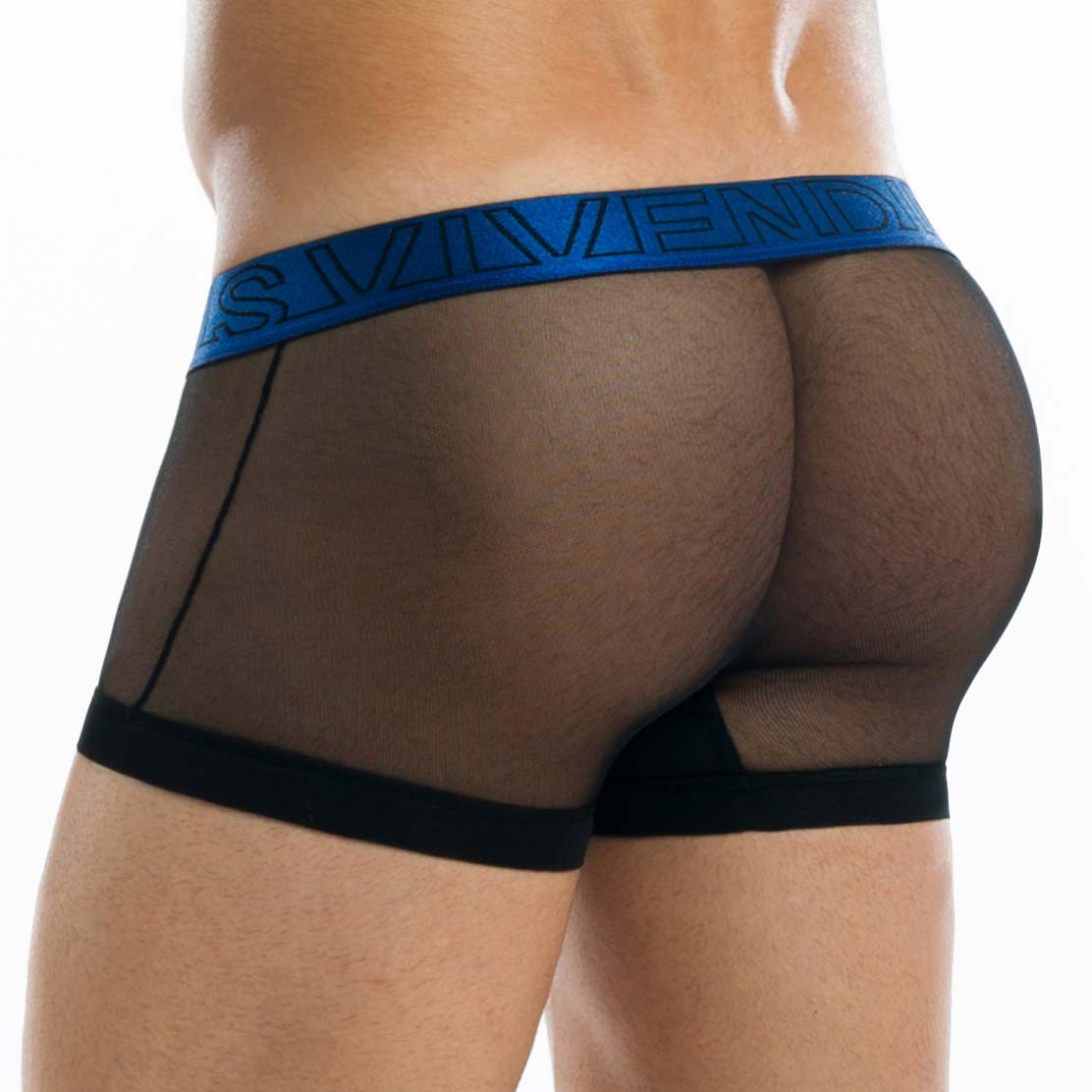 Boxer Modus Vivendi Transparent 19621