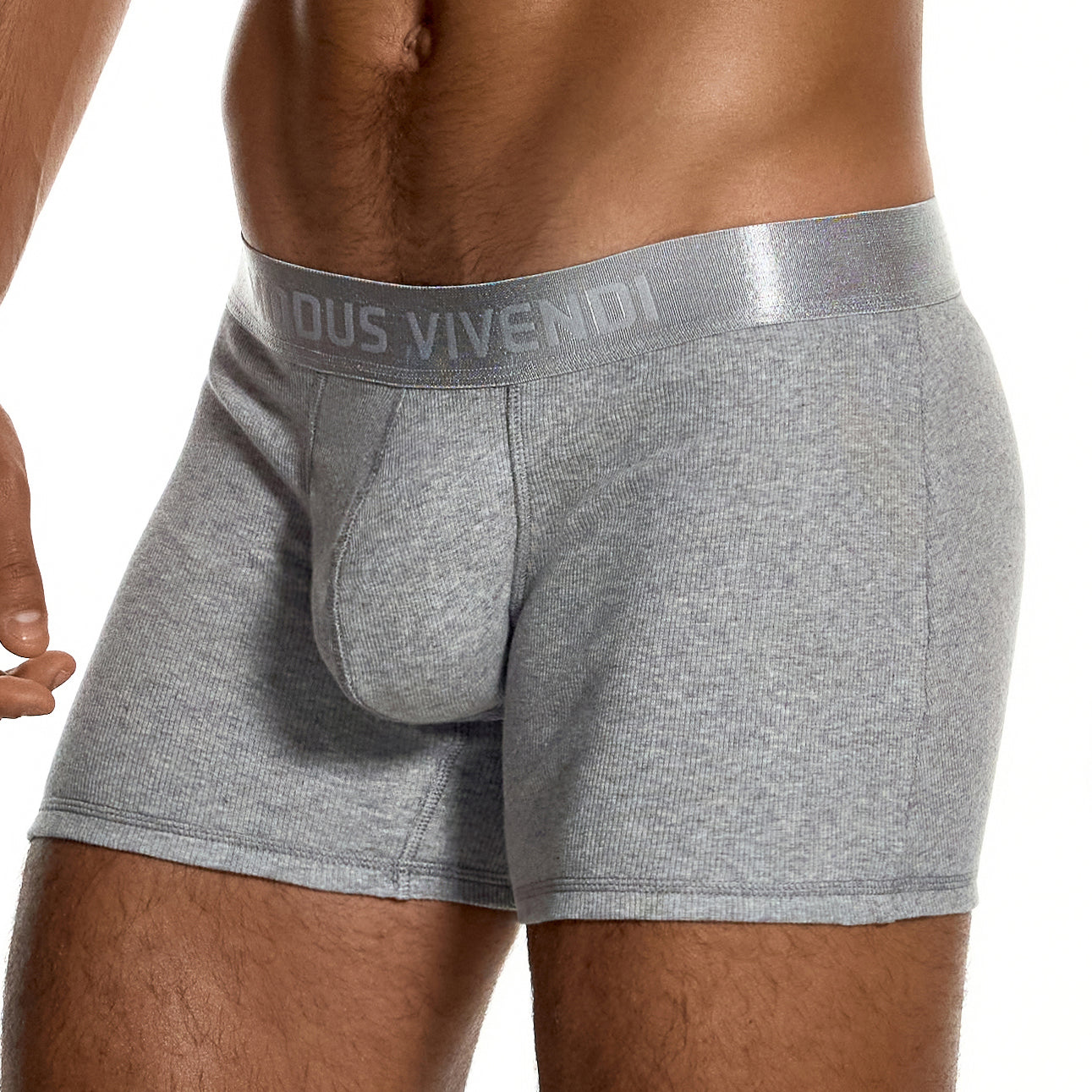 Boxer Modus Vivendi Ribbed Cotton 20623 Gris