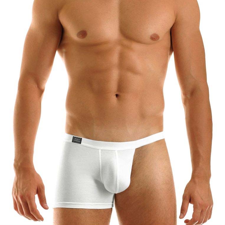 Mini Boxer Modus Vivendi 04421