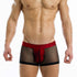 Boxer Modus Vivendi Transparent 19621