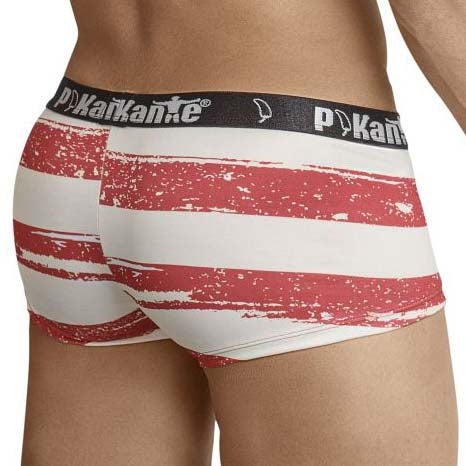 Boxer Pikante USA PIK8442