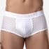 Boxer Pump! Whisper 1111