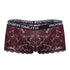 Boxer Roger Smuth RS035