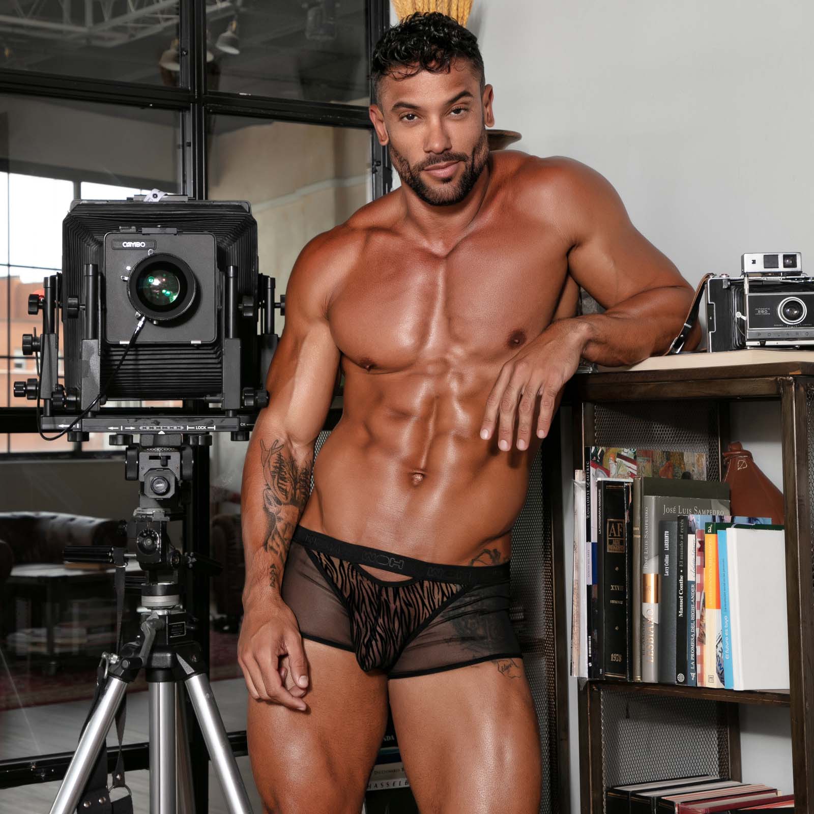 Trunk Woh Personal Allure 463047