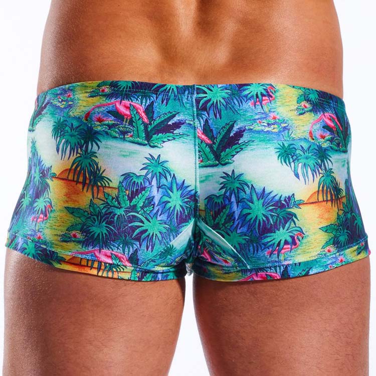 Boxer de bain CockSox Florida Keys CX08PR