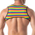 Harnais Rainbow TOF PARIS TOF415RW