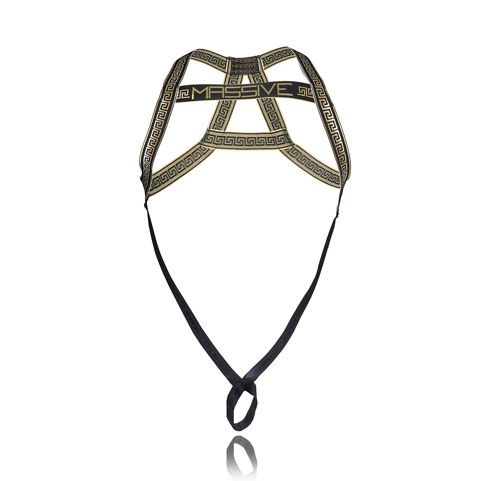 Harnais Andrew Christian Massive Animal Attraction C-ring 3173