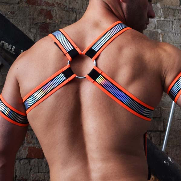 Harnais Reflector Bulldog BREEDWELL