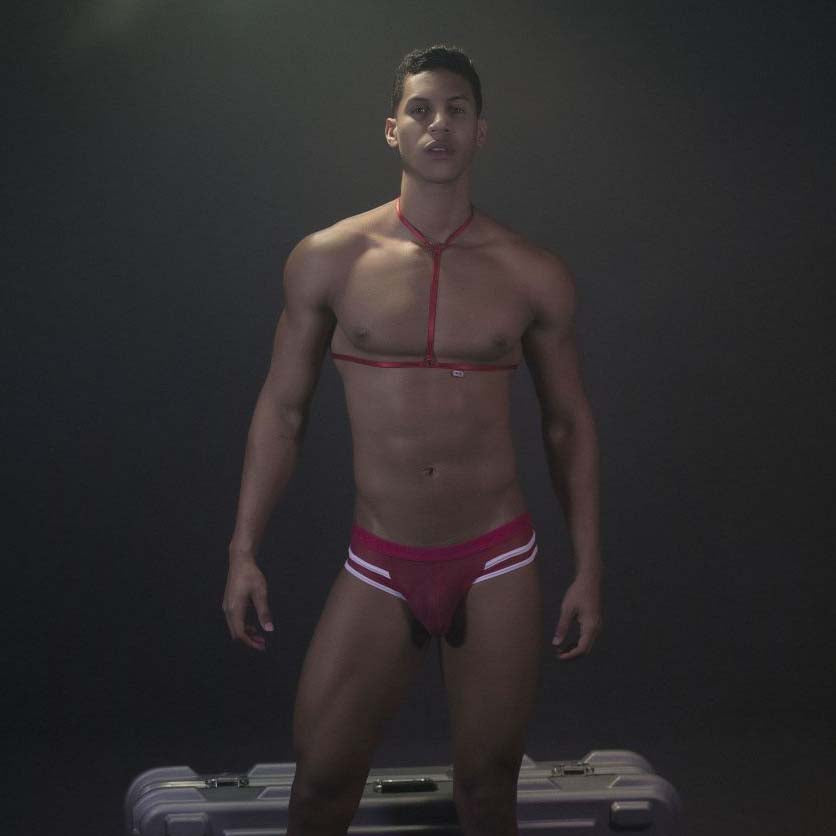 Ensemble Pikante PIK0495