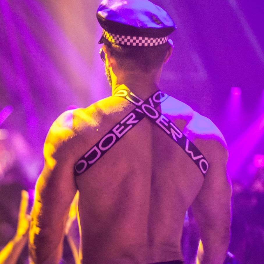 Harnais Wojoer Basic 320T022