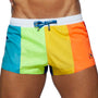 Short de Bain Addicted Rainbow ADS239