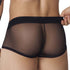 Shorty Pikante Burly PIK1090