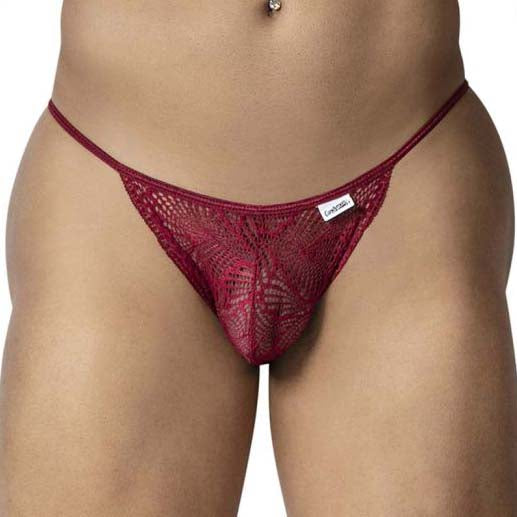 Candyman Lace Brief 99914 Burgundy