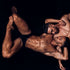 Slip ES Collection UN274