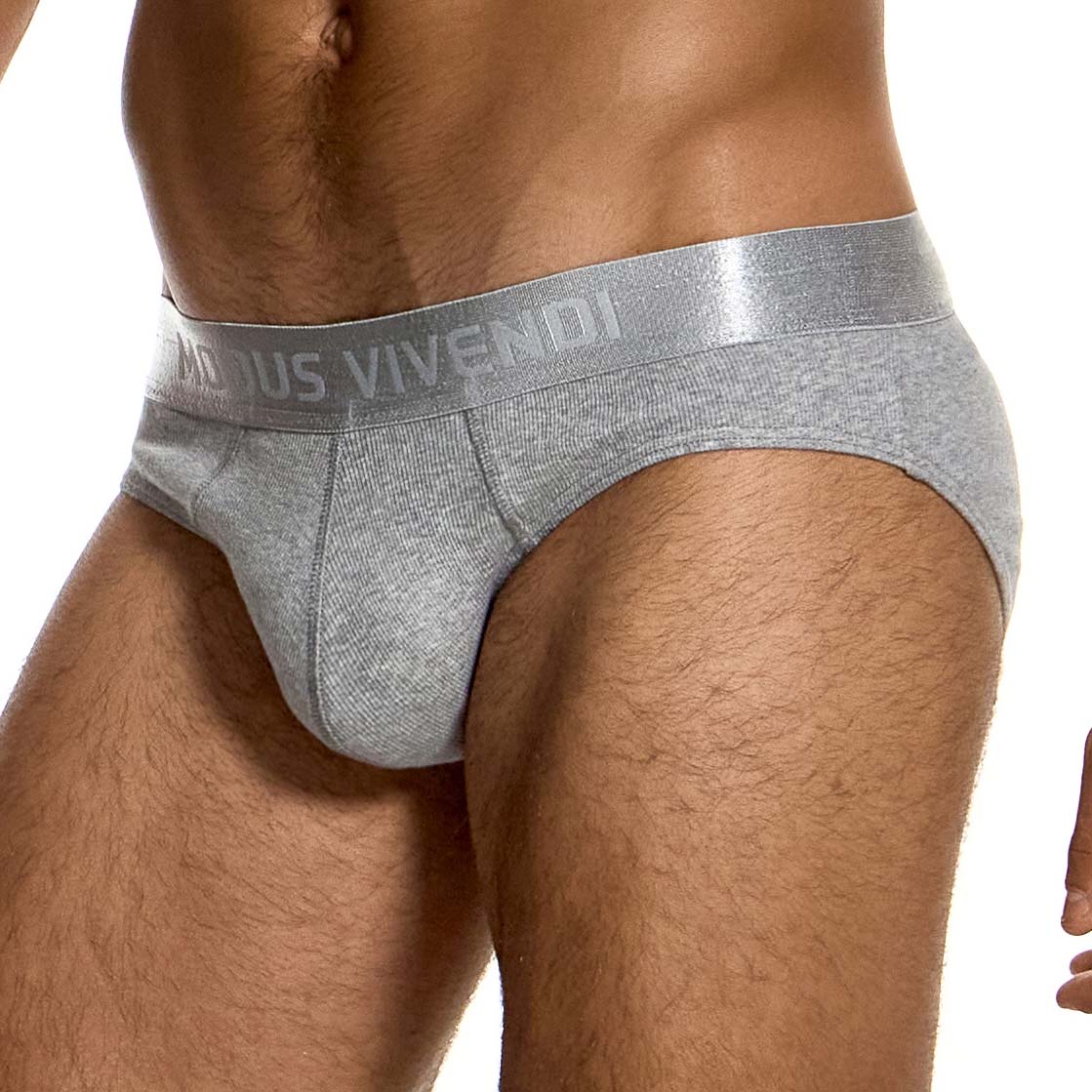 Modus Vivendi Ribbed Cotton Brief 20617 Grey