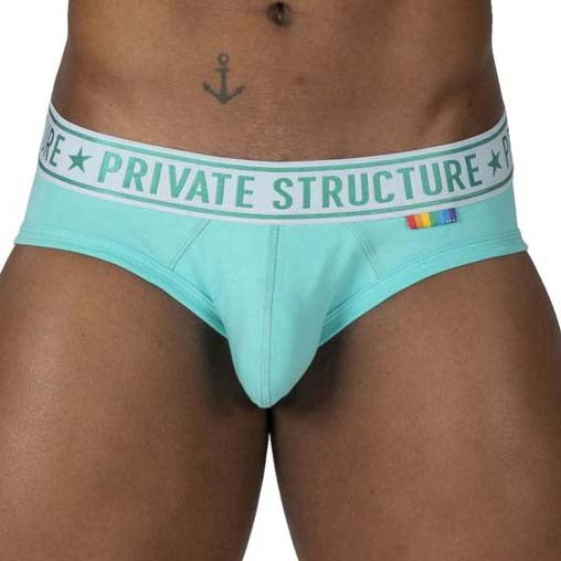Pack de 2 slips Private Structure Pride EPUT4385